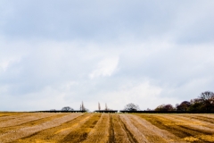 Ploughed field2