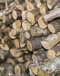 Wood pile