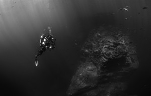 Diving in Black and White